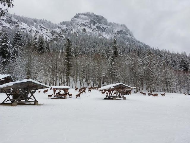 Hotel Haus Muehlgraben à Ramsau bei Berchtesgaden Extérieur photo